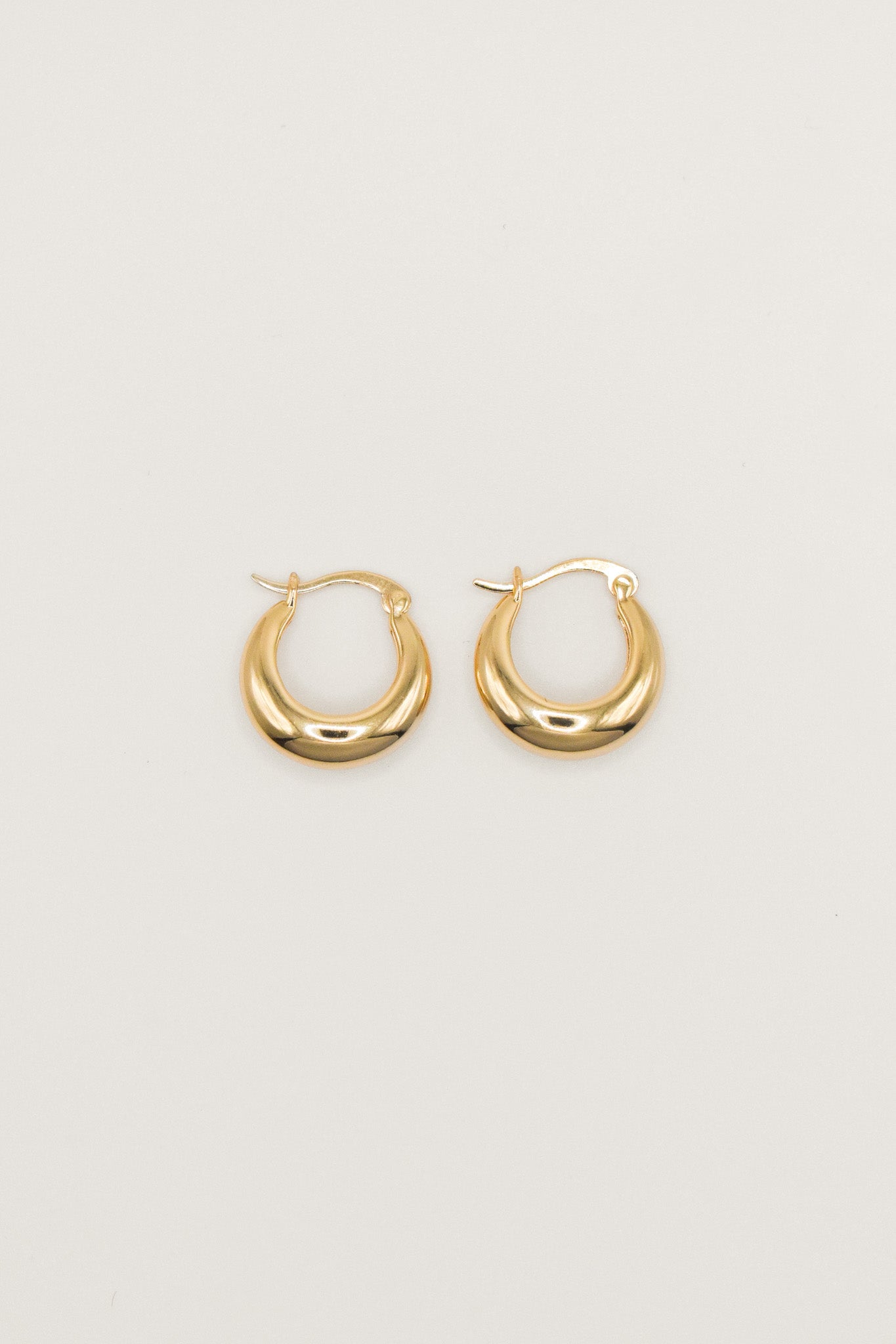 Leah Gold Hoops