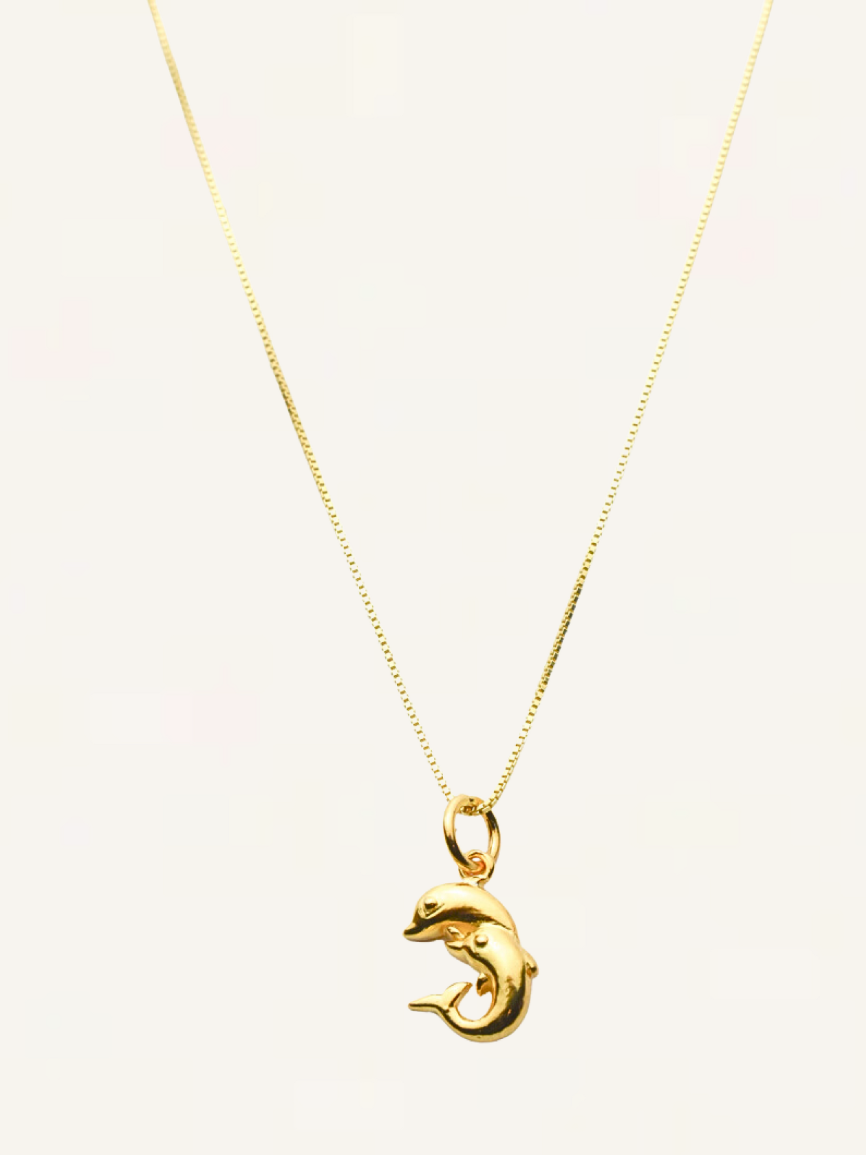 Dolphin Charm Necklace